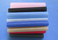 阜南涤纶（PET）无纺布是什么